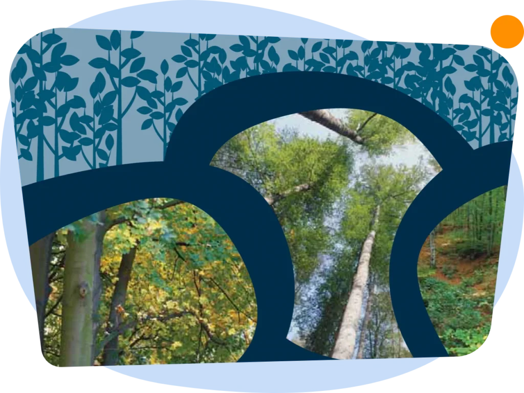 Fotos elementos de Doc. Fores 1.0